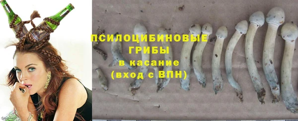 шишки Алзамай