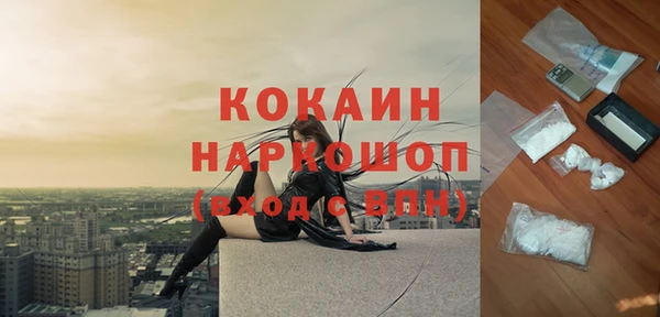 шишки Алзамай