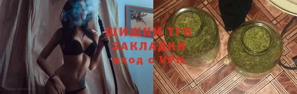 ГАЛЛЮЦИНОГЕННЫЕ ГРИБЫ Алексин