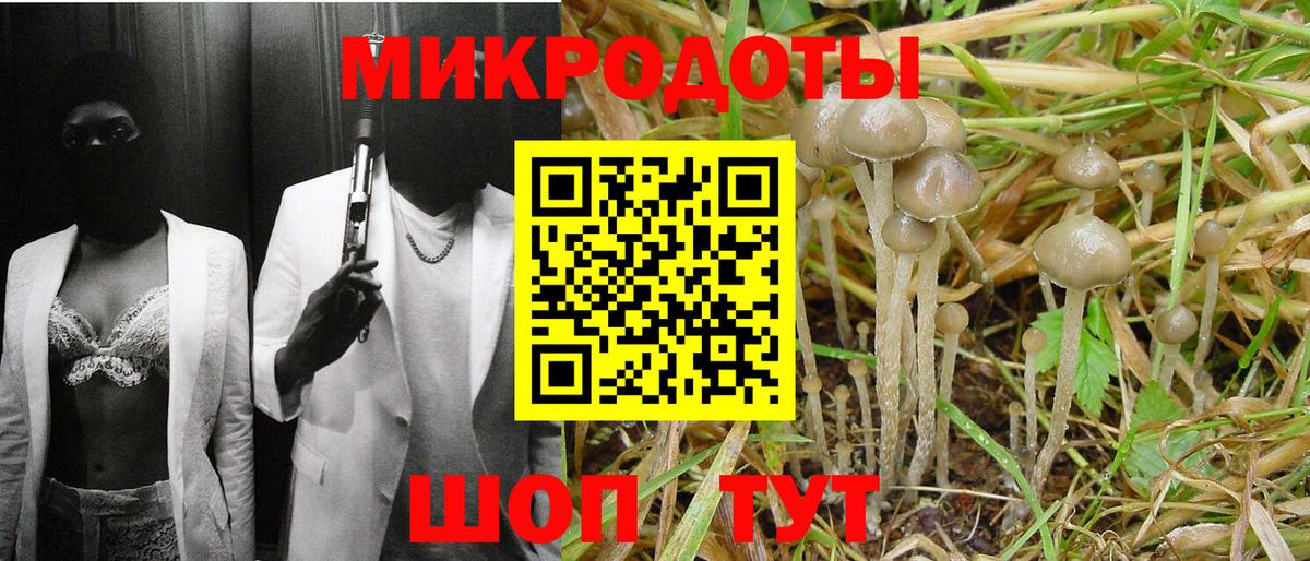 АМФЕТАМИН Сунжа